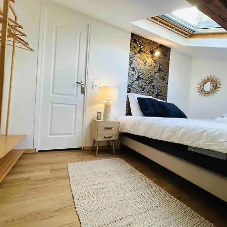 Les Toits De Thillois Hypercentre Apartment *