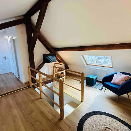 Apartman Les Toits De Thillois Hypercentre Erlon Reims