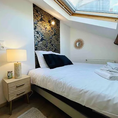 Les Toits De Thillois Hypercentre Erlon Apartman Reims
