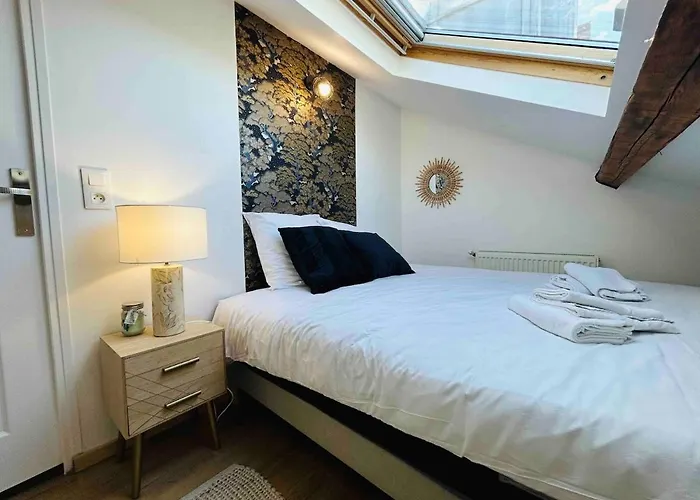 Les Toits De Thillois Hypercentre Erlon Реймс