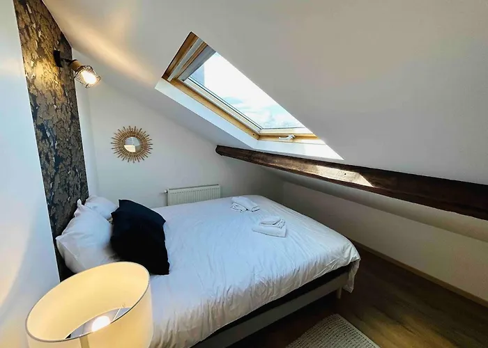 Les Toits De Thillois Hypercentre Erlon Апартаменты