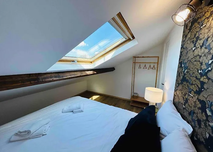 Les Toits De Thillois Hypercentre Erlon * Реймс